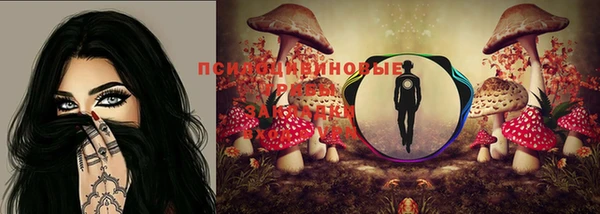 марки nbome Арсеньев