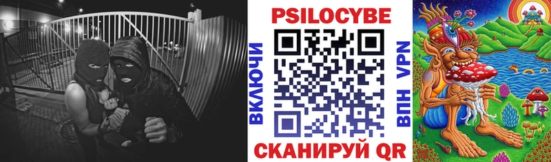 Галлюциногенные грибы GOLDEN TEACHER  Балтийск 