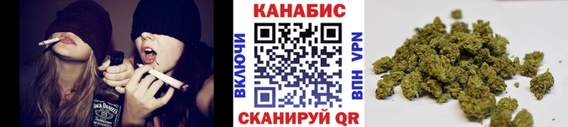 Марихуана OG Kush Балтийск